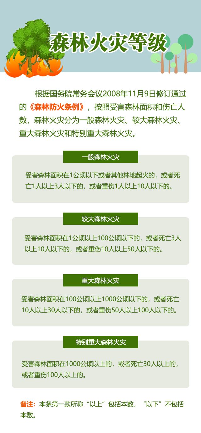 森林火災.jpg